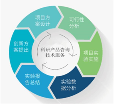 人半乳糖-3-O-磺基轉(zhuǎn)移酶2 功能、基因與臨床意義探析